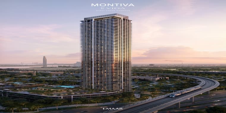Montiva by Vida
