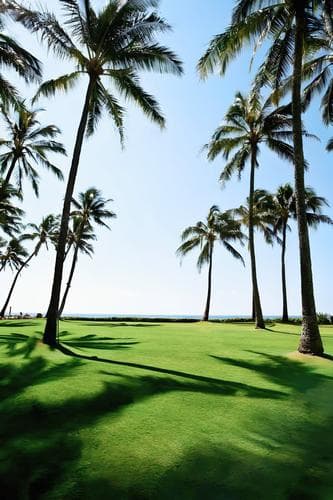 Dubai Island - Living space at Iluka Residences